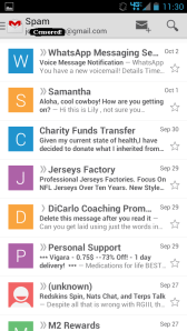 Chinese sports jerseys, bullshit chat requests, Viagra - typical
