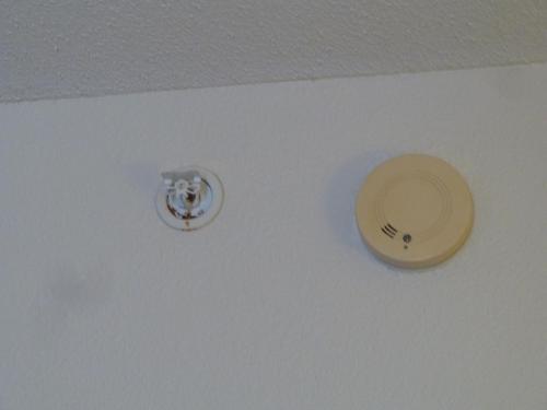 You will not defeat us, unexpected fire!